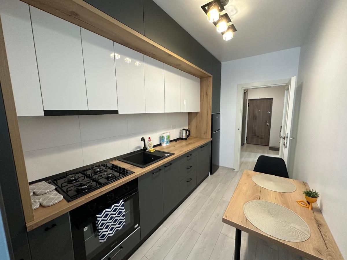 Renting Solutions Studio 이아시 외부 사진